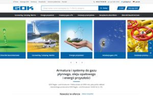 GOK Polska - Przebudowa Katalogu 805 Produktów: Własny Motyw w Miejsce Oxygena