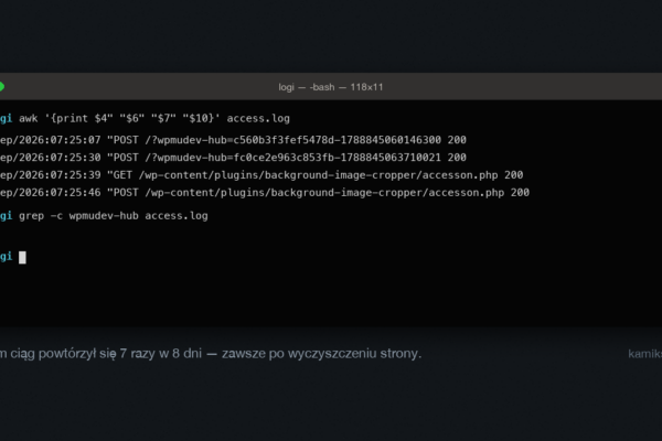 Okno terminala z logiem serwera: dwa żądania POST na endpoint wtyczki i po nich webshell