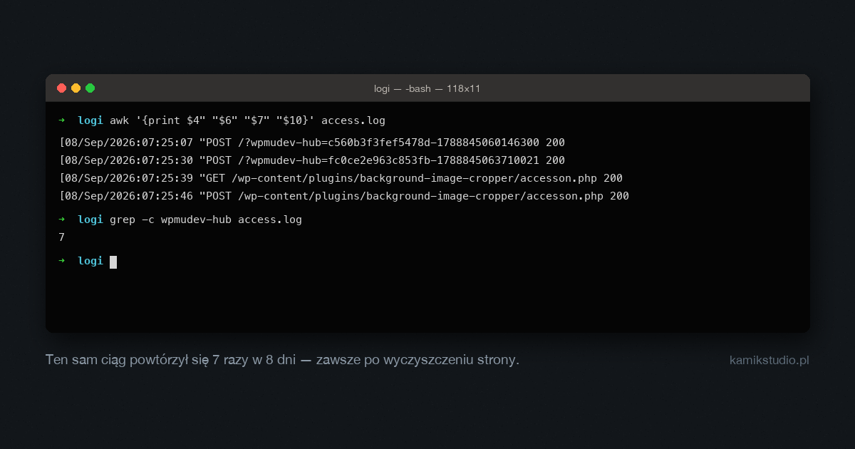 Okno terminala z logiem serwera: dwa żądania POST na endpoint wtyczki i po nich webshell